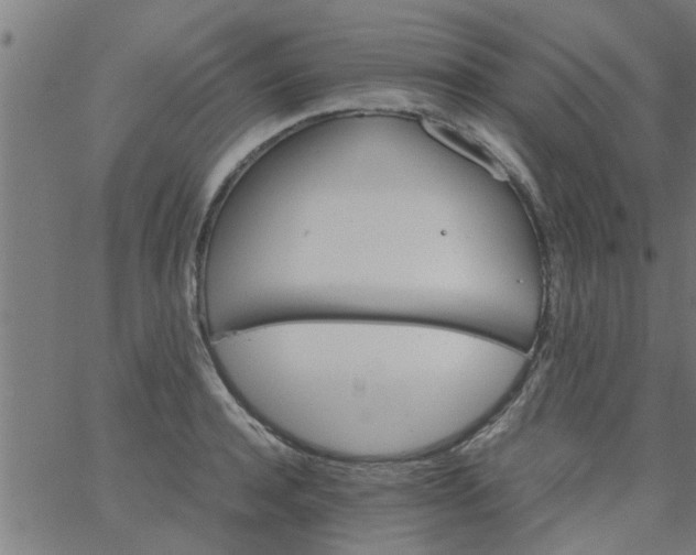 X0000066540944200603311841