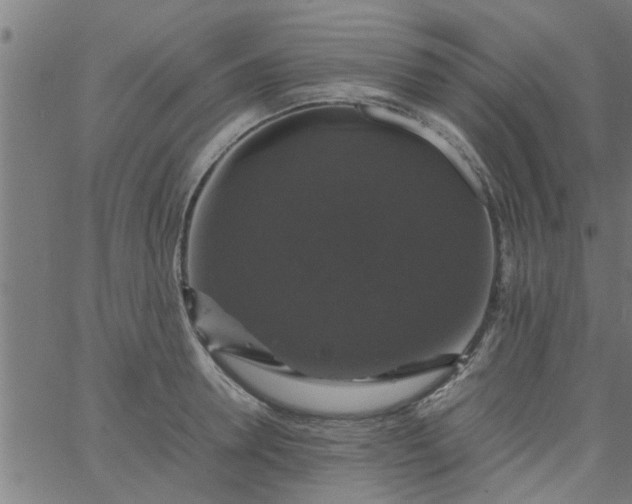 X0000066540946200603311841