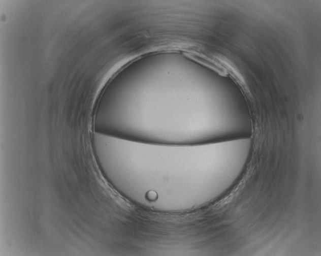 X0000066540948200603311841