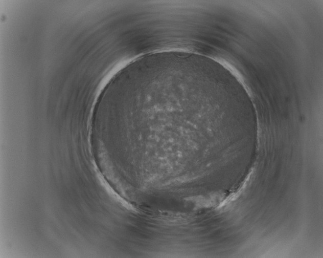 X0000066540949200603311841