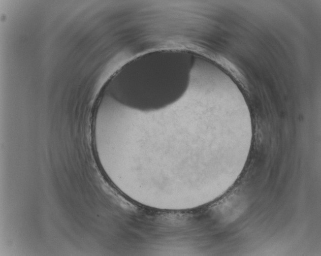 X0000066540950200603311842