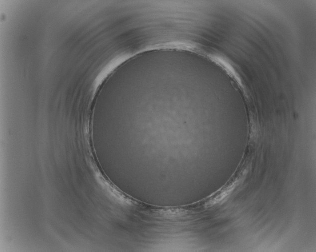 X0000066540952200603311842