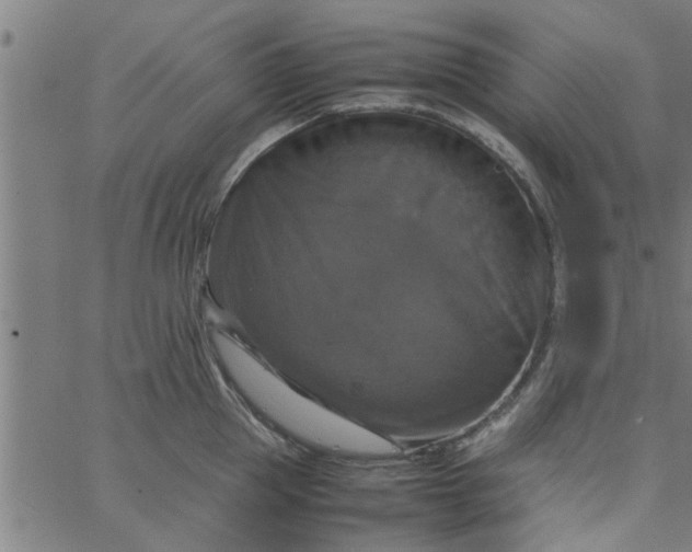 X0000066540953200603311842