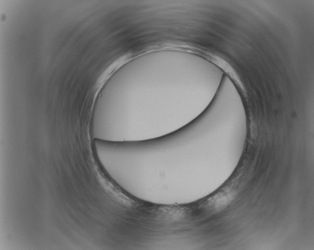 X0000066540954200603311842