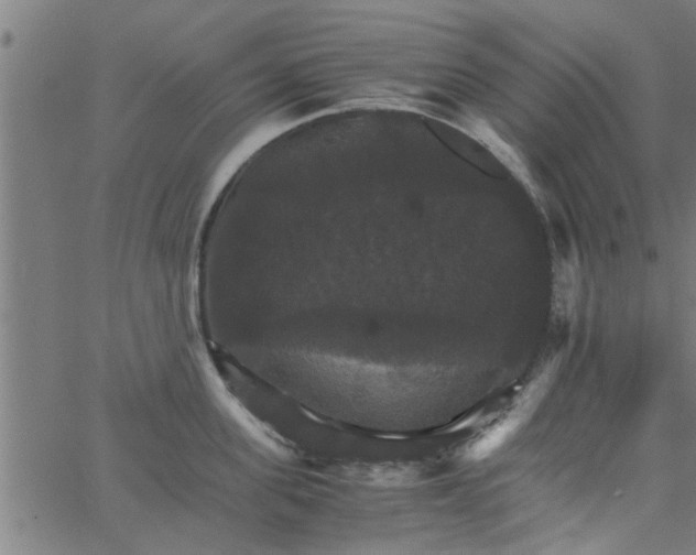 X0000066540955200603311842