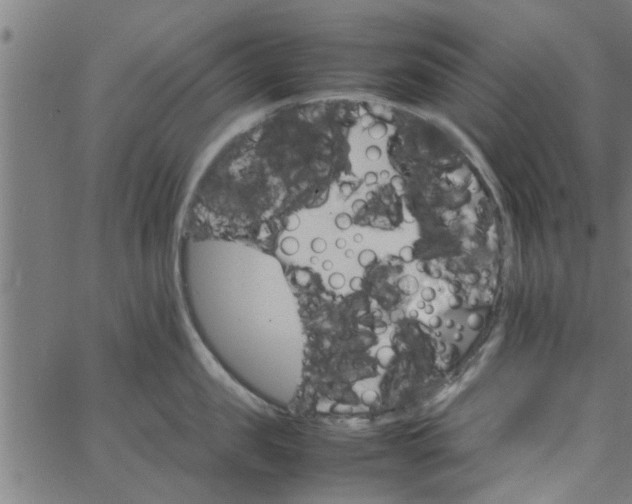 X0000066540957200603311842