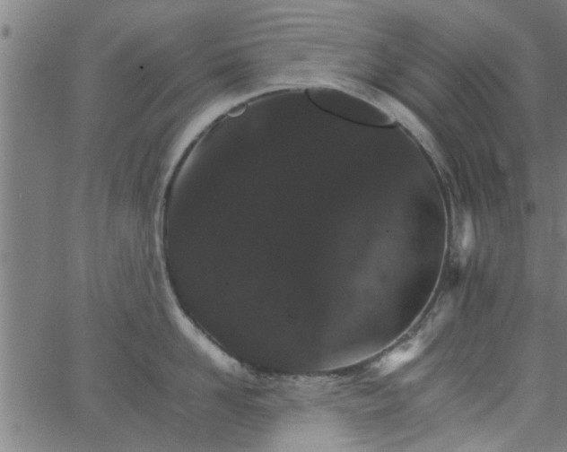 X0000066540958200603311842