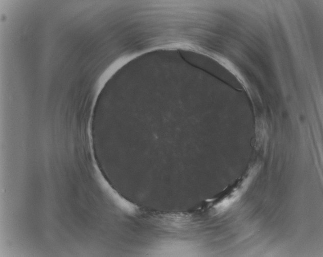 X0000066540959200603311842