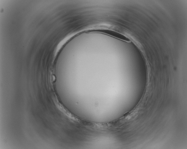 X0000066540960200603311842