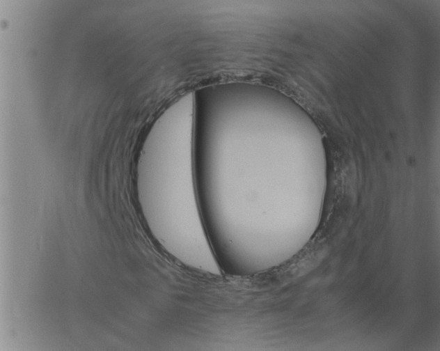 X0000066540961200603311841