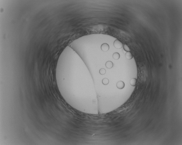 X0000066540962200603311841