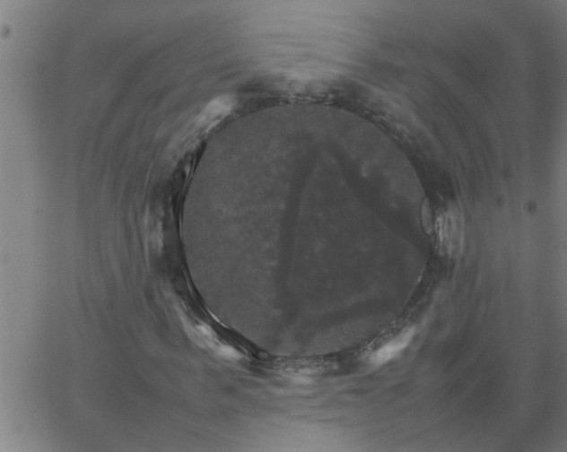 X0000066540963200603311841