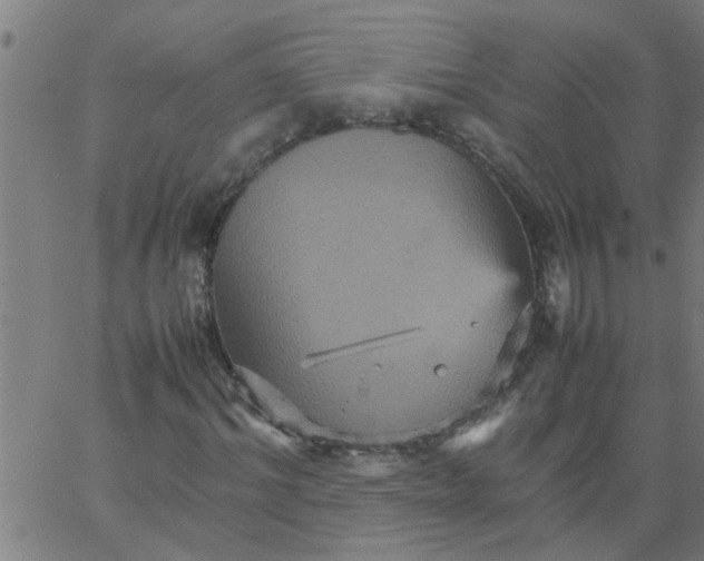 X0000066540964200603311841