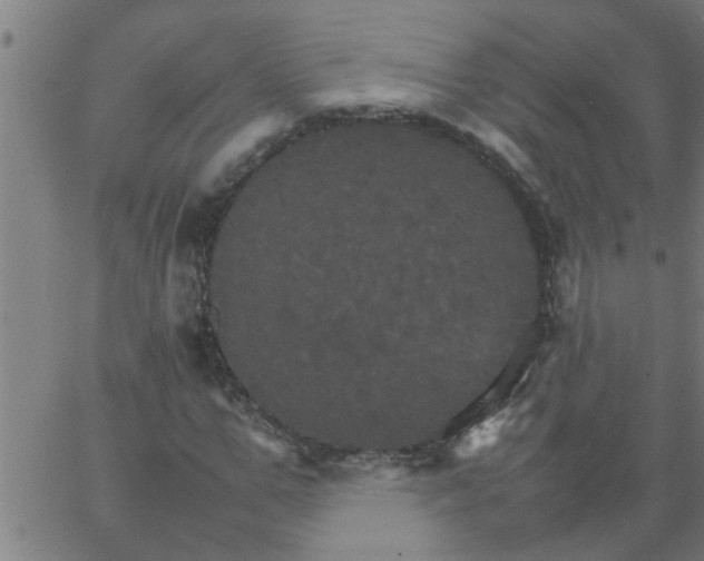 X0000066540967200603311841