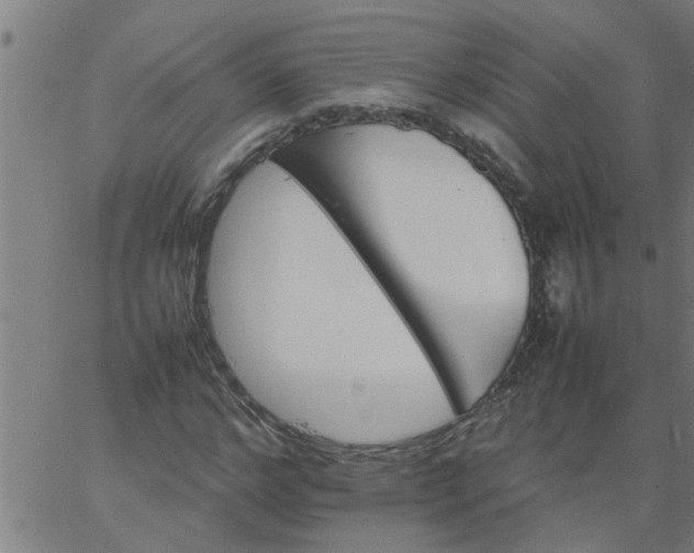 X0000066540968200603311841