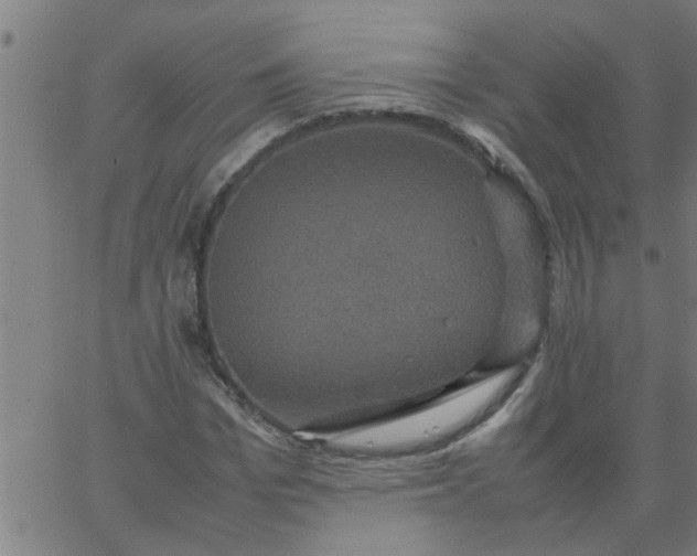 X0000066540969200603311841