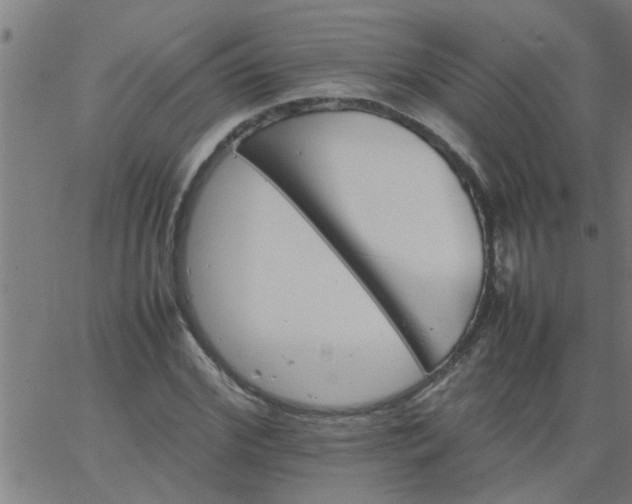 X0000066540972200603311841