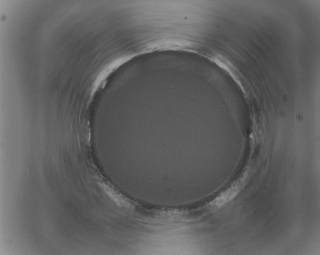 X0000066540973200603311841