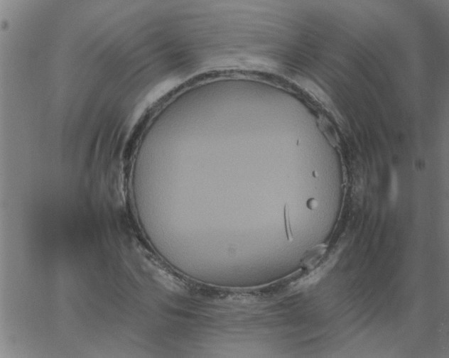 X0000066540974200603311841