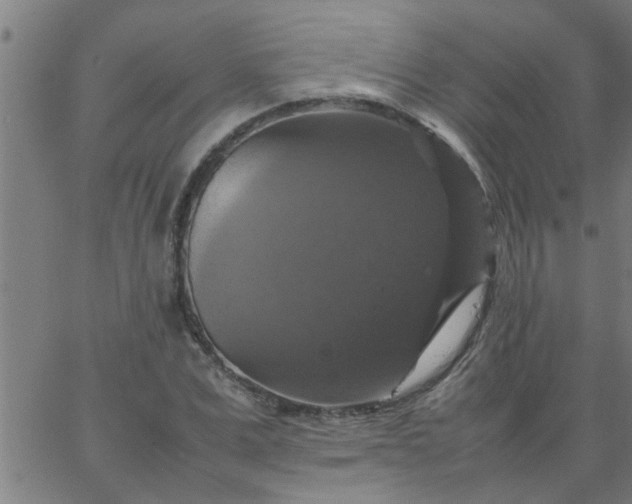 X0000066540975200603311841