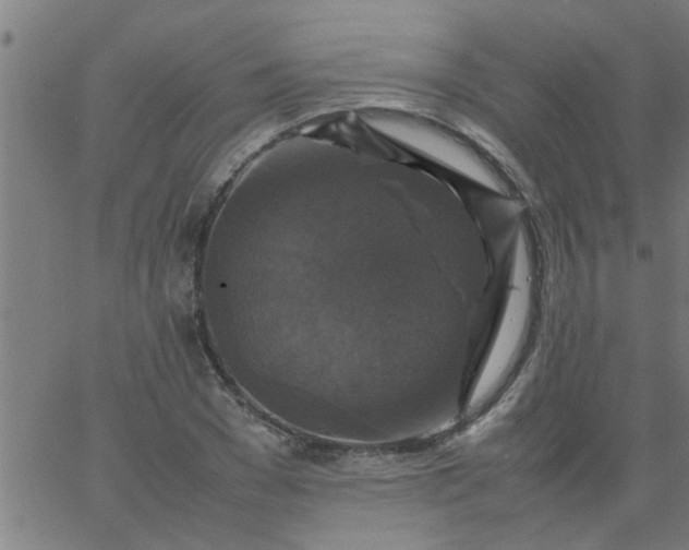 X0000066540977200603311841