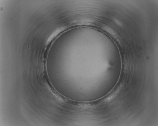 X0000066540978200603311841