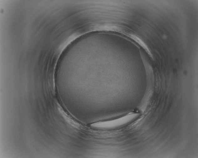 X0000066540980200603311841