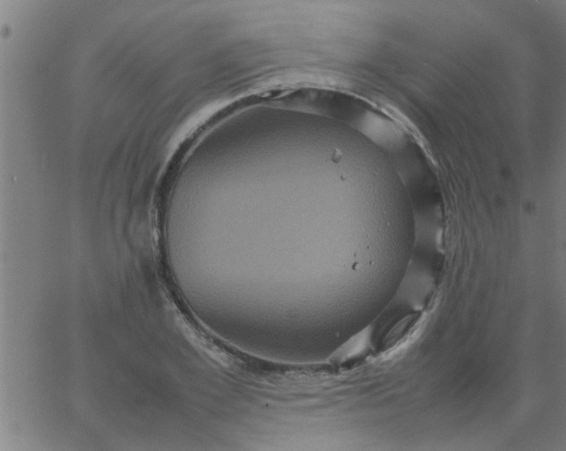 X0000066540981200603311841