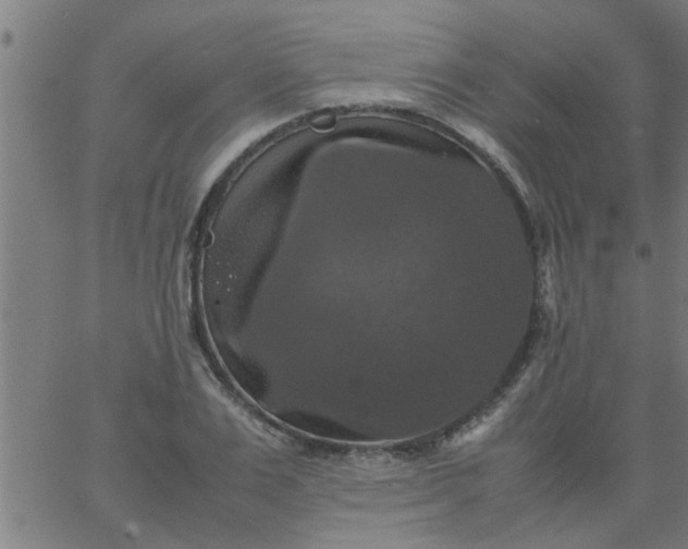 X0000066540983200603311841