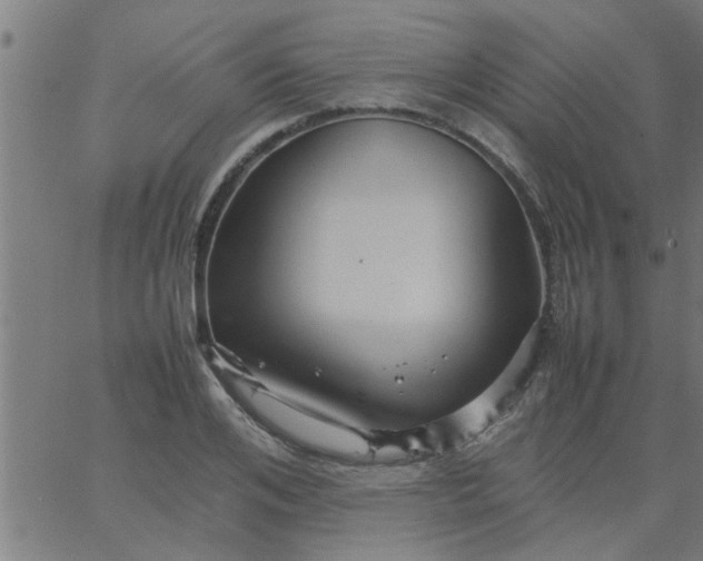 X0000066540984200603311841