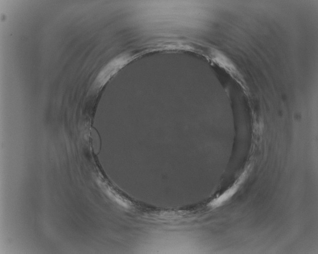 X0000066540985200603311841