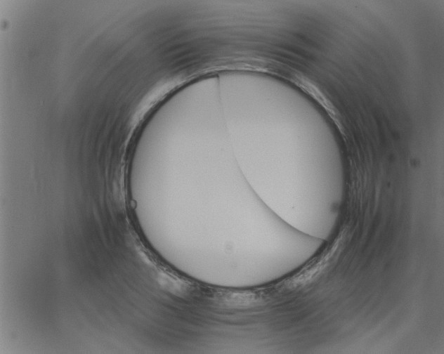 X0000066540986200603311840