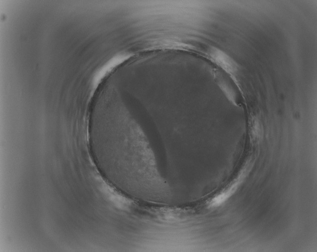 X0000066540987200603311840