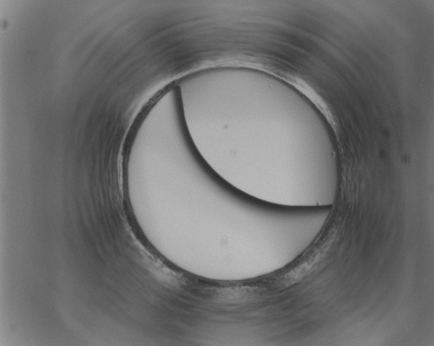 X0000066540988200603311840