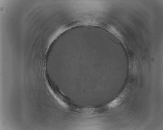 X0000066540989200603311840