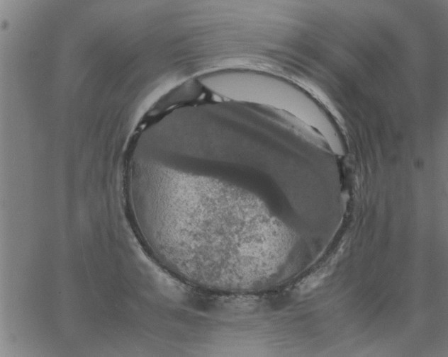 X0000066540991200603311840