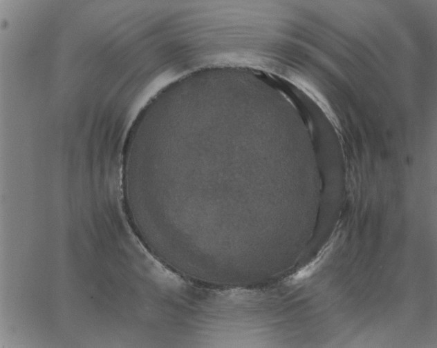 X0000066540992200603311840