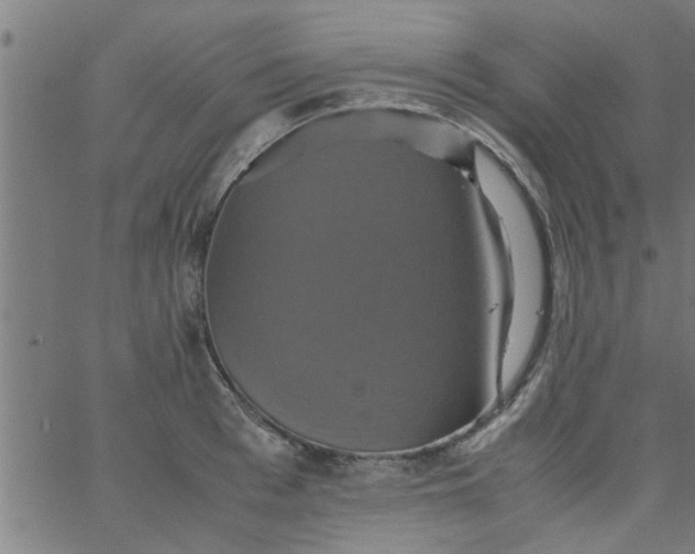 X0000066540993200603311840