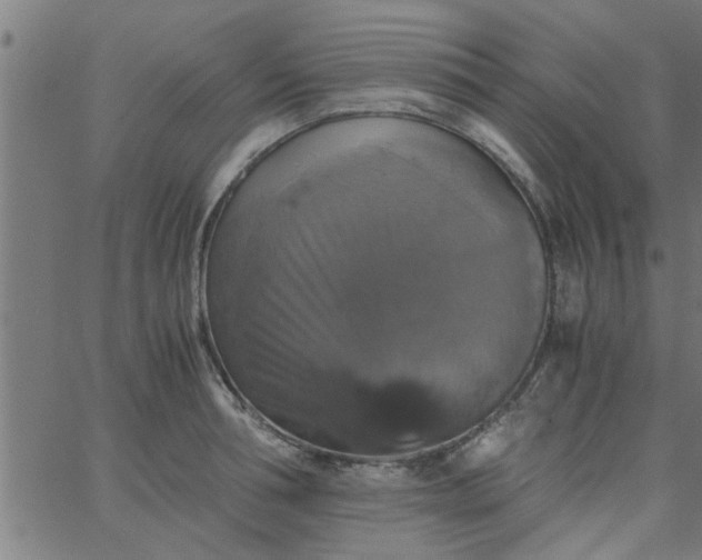 X0000066540994200603311840