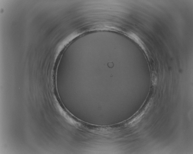 X0000066540995200603311840