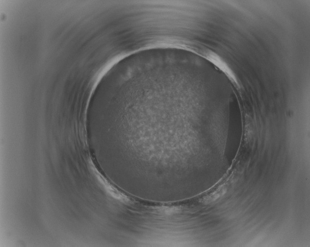 X0000066540996200603311840