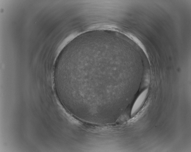 X0000066540997200603311840