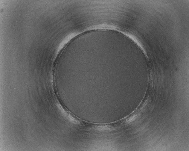 X0000066540998200603311840