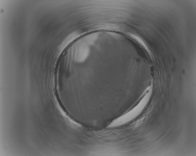 X0000066540999200603311840