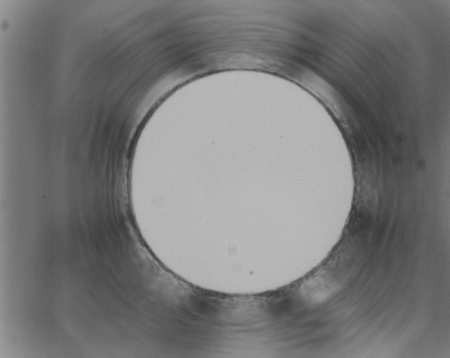 X0000066541000200603311840