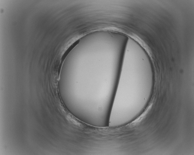 X0000066541001200603311840