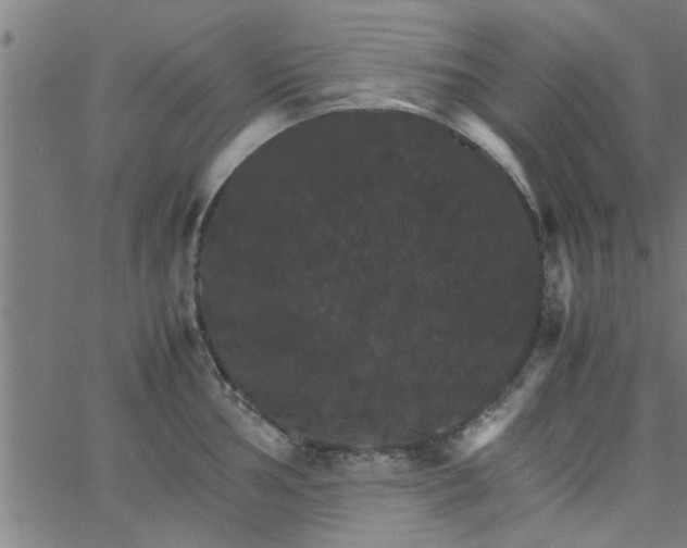 X0000066541002200603311840