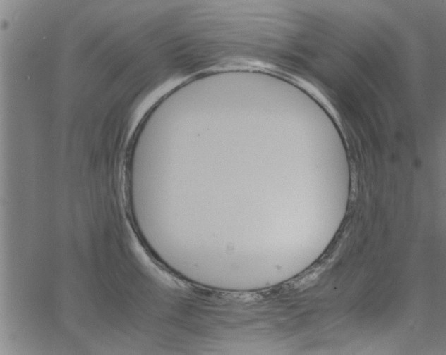 X0000066541003200603311840