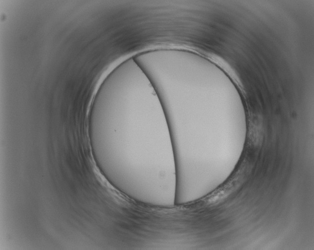 X0000066541004200603311840