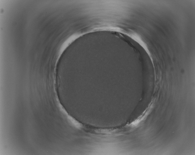 X0000066541005200603311840